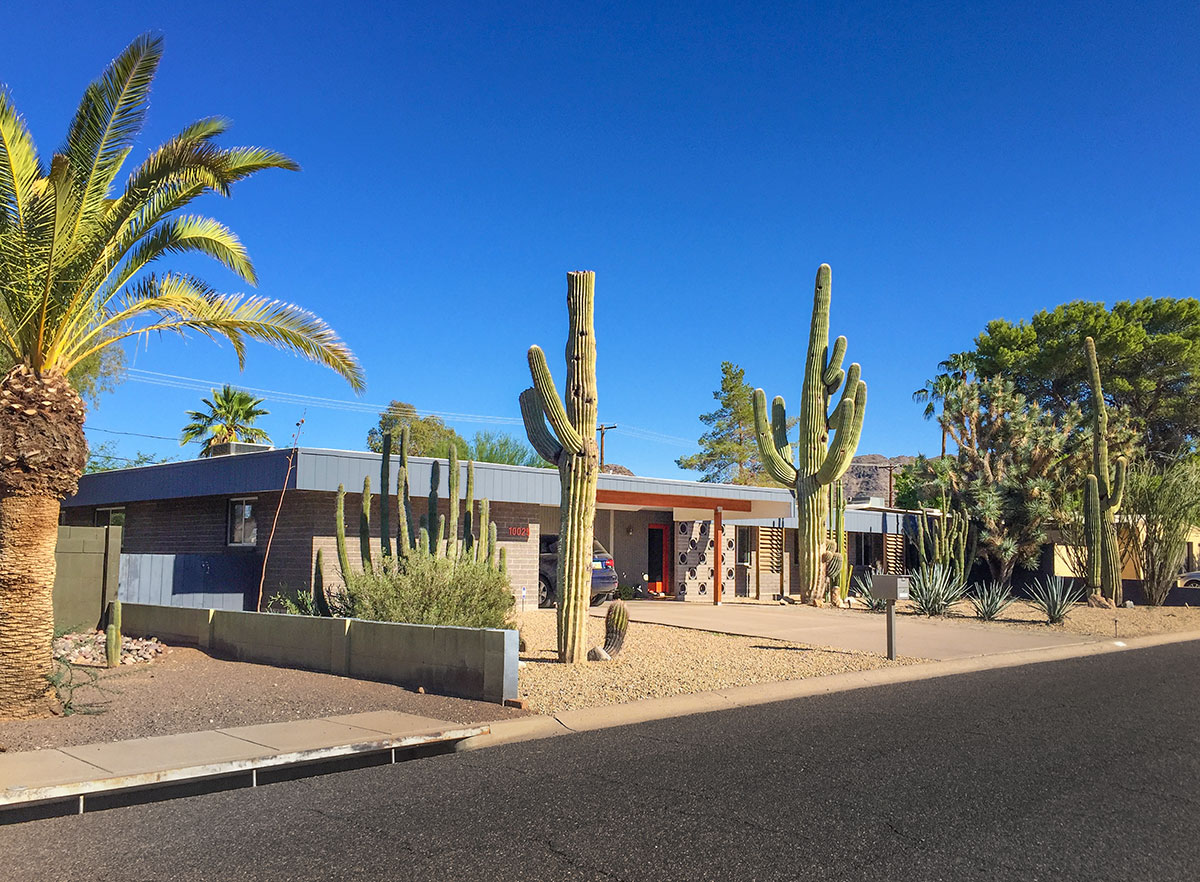 All About Paradise Gardens Beadle Archive Modern Phoenix