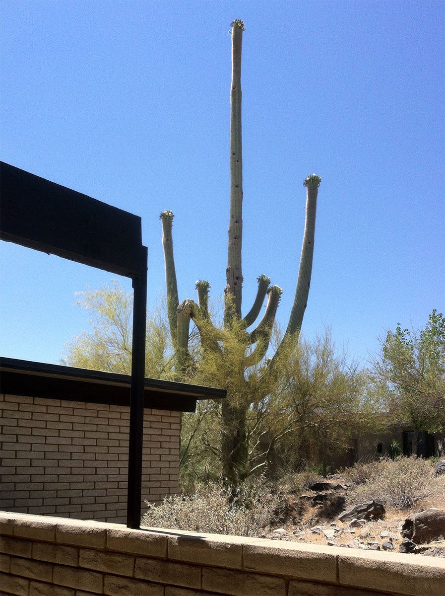 The Richert House by Blaine Drake in Arizona