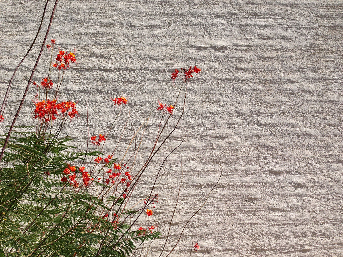 Adobe Wall by Architect Bennie Gonzlaes