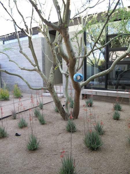 The Desert Residence on the Modern Phoenix Hometour 2012