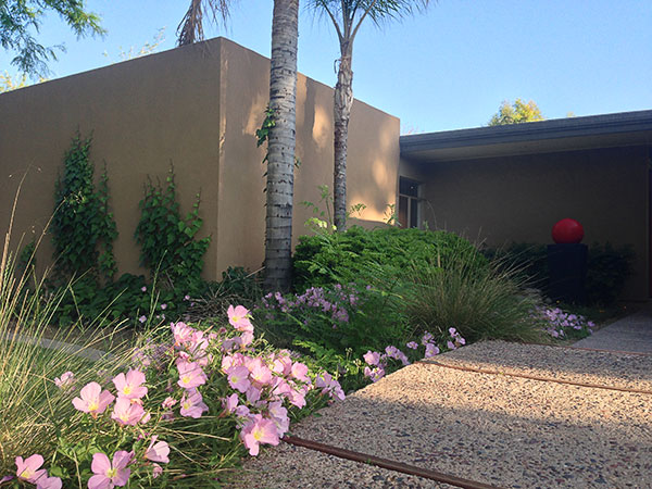 Robert Starkovich House on Modern Phoenix Home Tour