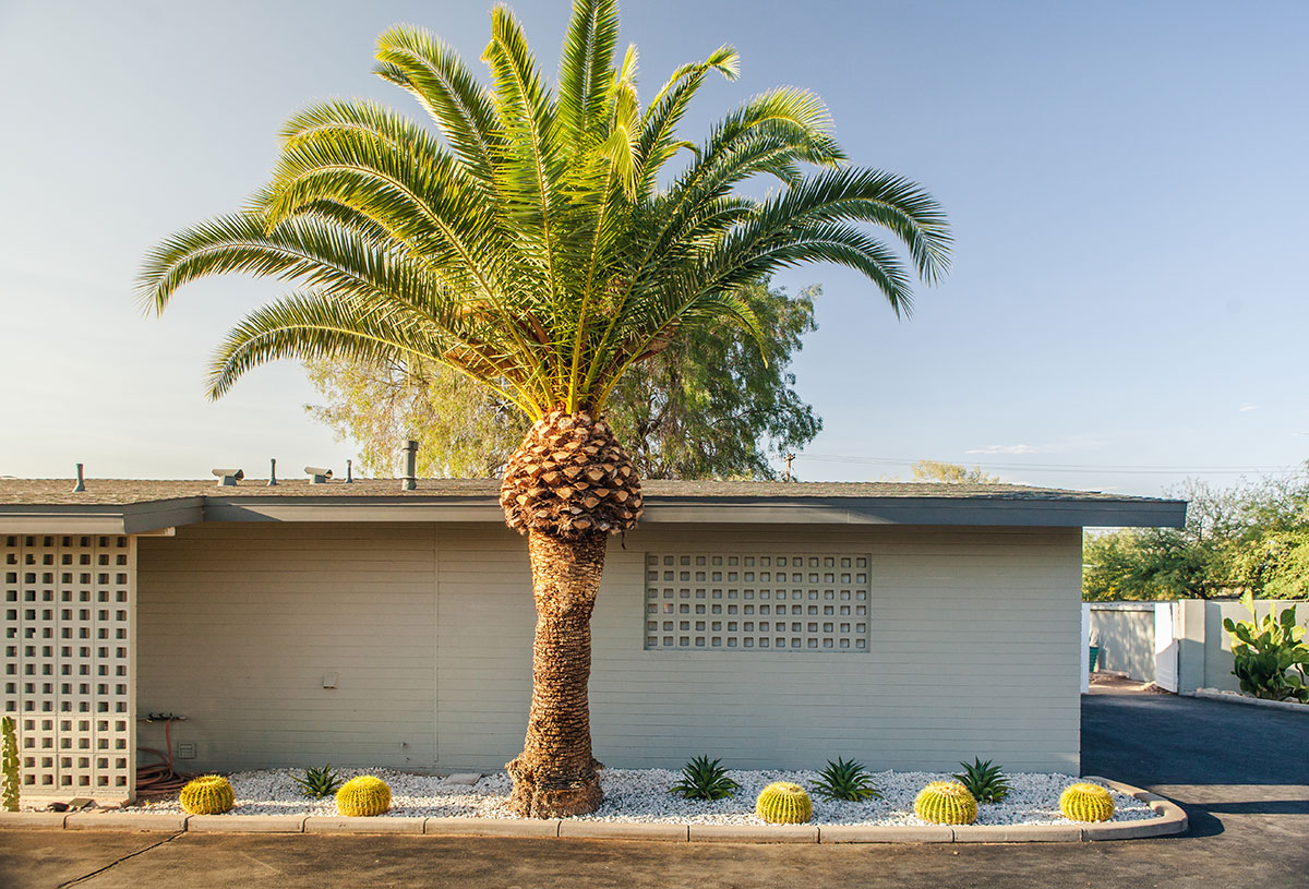 Coffin & King Residence and Studio on the Modern Phoenix Home Tour 2015 in South Scottsdale