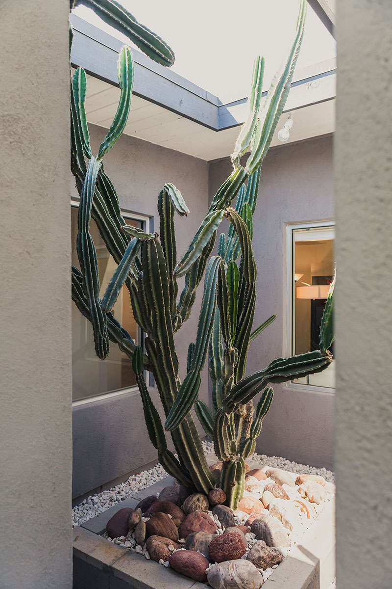 What would Ralph Haver do? on the Modern Phoenix Home Tour in South Scottsdale