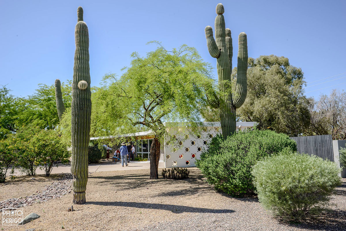 The Simply Modern Residence on the Modern Phoenix Home Tour 2017