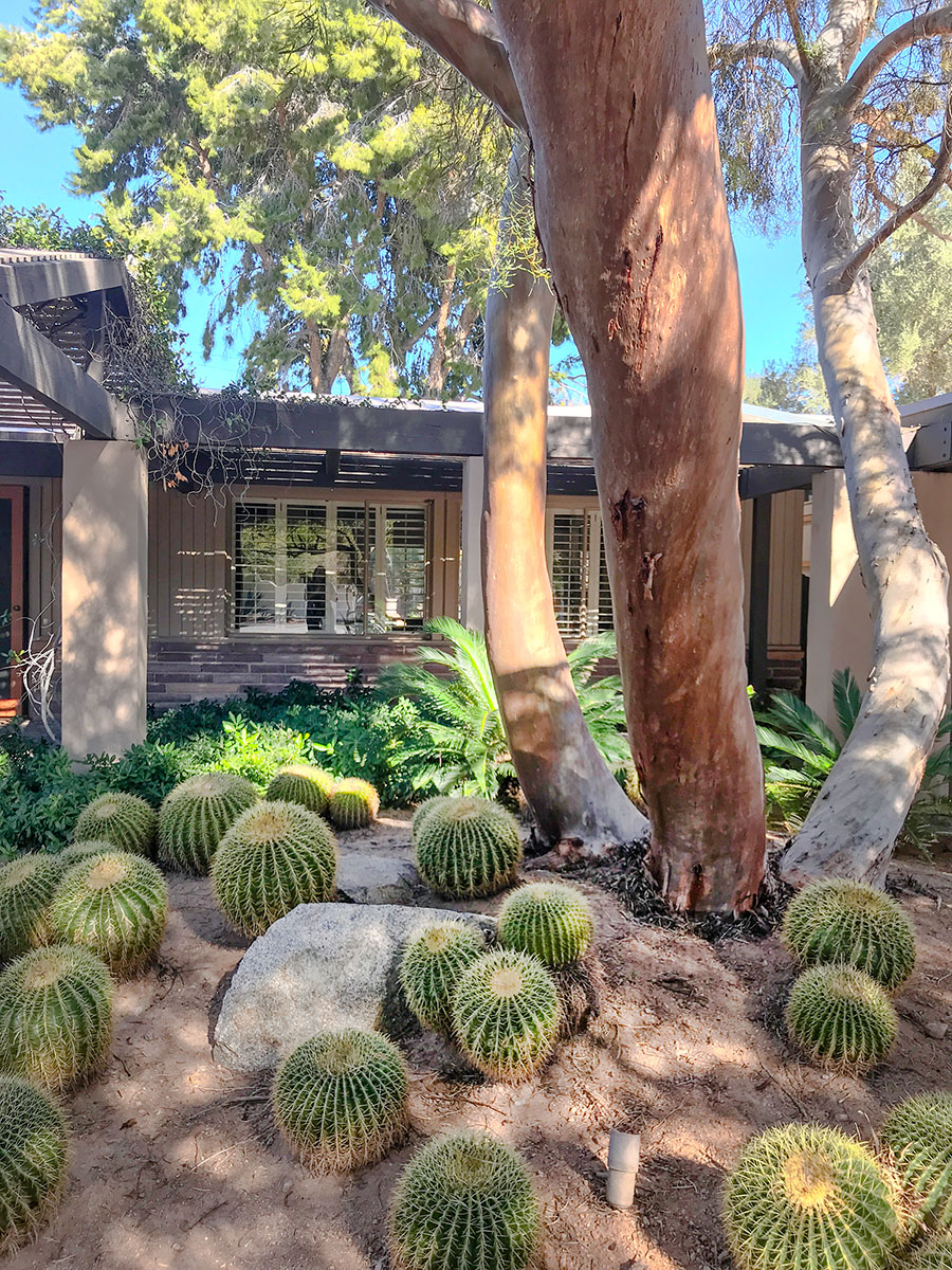 Gordon Rogers Studio and Residence on the Modern Phoenix Home Tour in Marion Estates 2018