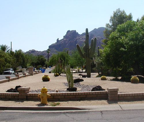 A background on landscaping in the Phoenix desert